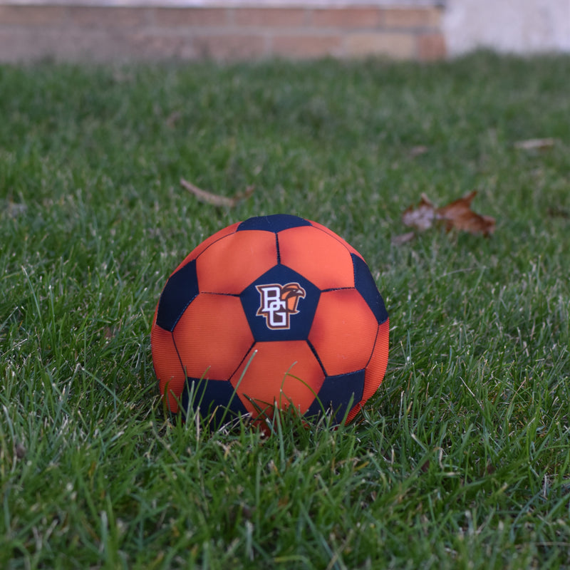 All Star Soccer Ball Pet Toy