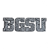 CDI Decal BGSU Zebra Print