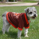 All Star Dog Peekaboo Mesh BROWN Jersey