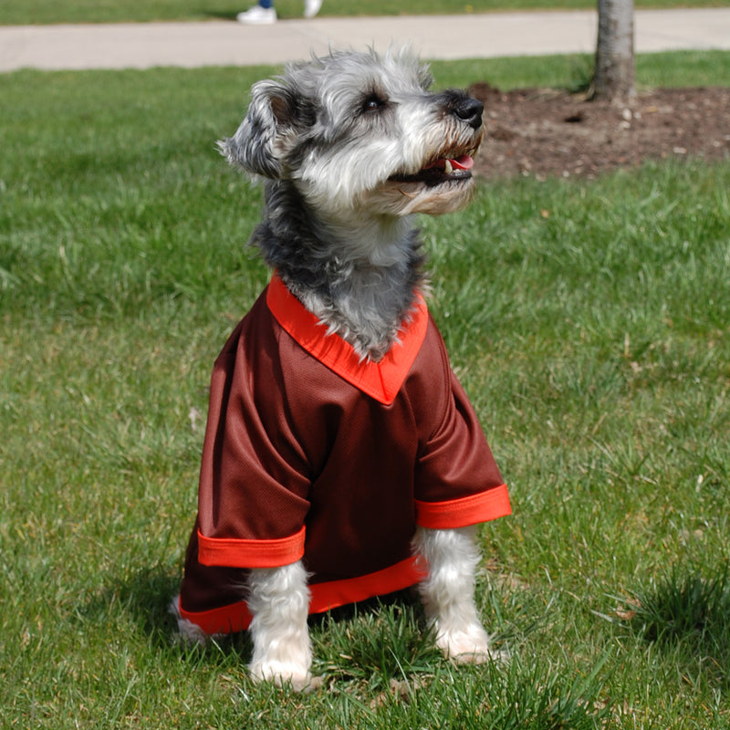All Star Dog Peekaboo Mesh BROWN Jersey