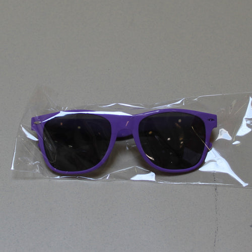 Spirit Falcons Velvet Touch Malibu Sunglasses Purple