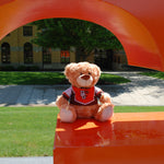 Mascot Factory Falcon Marching Band Bear