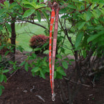 Spirit BGSU Falcons Newtown Lobster Claw Lanyard